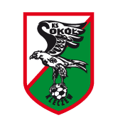 https://img.scjclh.com/img/football/team/e6a8908dd206e2ea02d9803c82c60bba.png